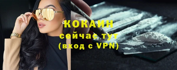 ГАЛЛЮЦИНОГЕННЫЕ ГРИБЫ Касимов